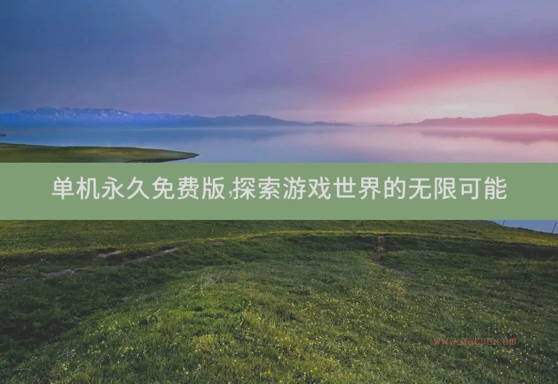 单机永久免费版，探索游戏世界的无限可能