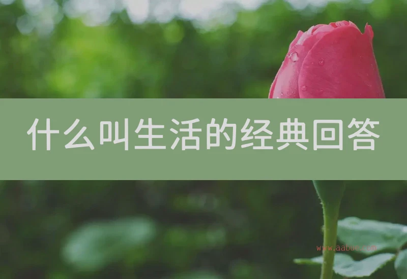 什么叫生活的经典回答