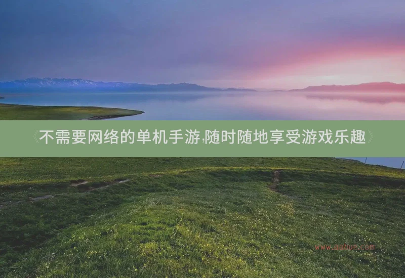《不需要网络的单机手游，随时随地享受游戏乐趣》