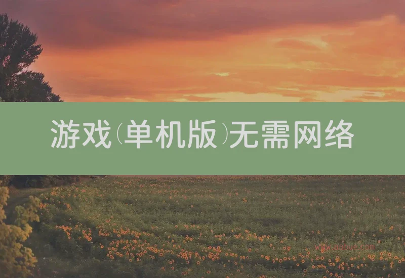 游戏(单机版)无需网络