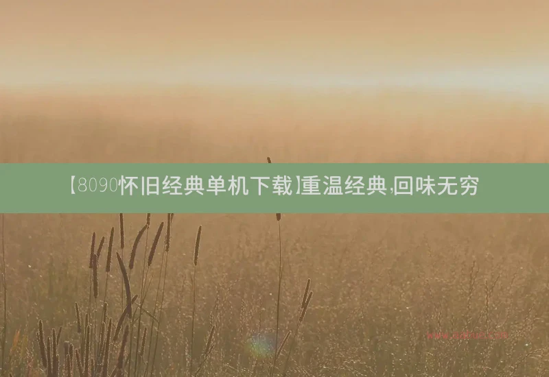 【8090怀旧经典单机下载】重温经典，回味无穷