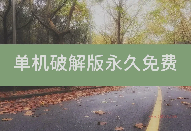 单机破解版永久免费