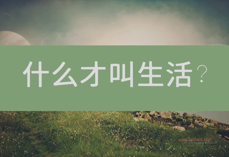什么才叫生活？