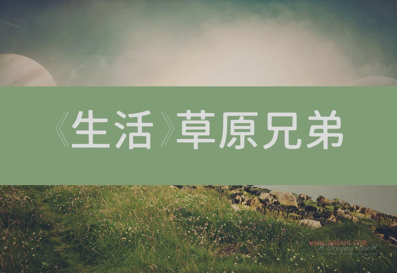 《生活》草原兄弟