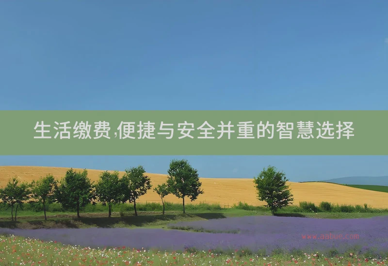 生活缴费，便捷与安全并重的智慧选择