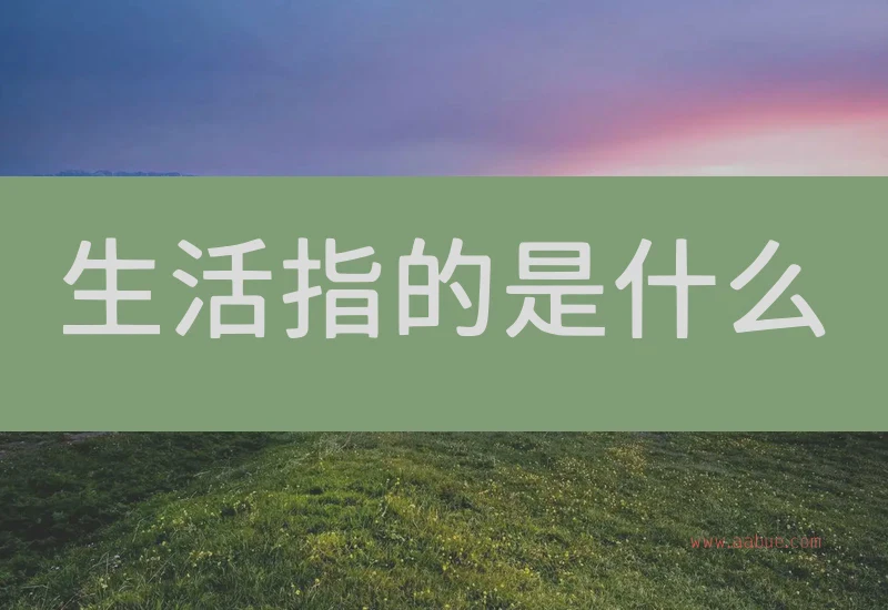 生活指的是什么