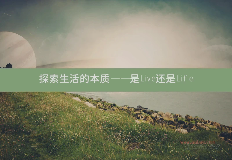 探索生活的本质——是Live还是Life