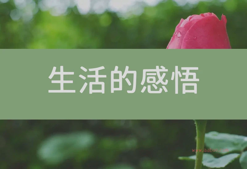 生活的感悟