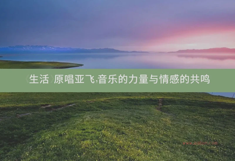 《生活》原唱亚飞，音乐的力量与情感的共鸣
