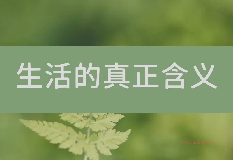 生活的真正含义