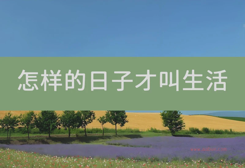 怎样的日子才叫生活