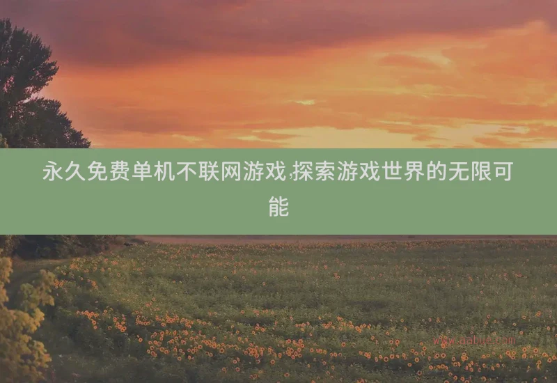 永久免费单机不联网游戏，探索游戏世界的无限可能