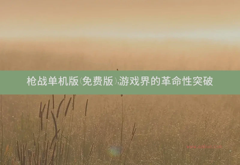 枪战单机版(免费版)，游戏界的革命性突破