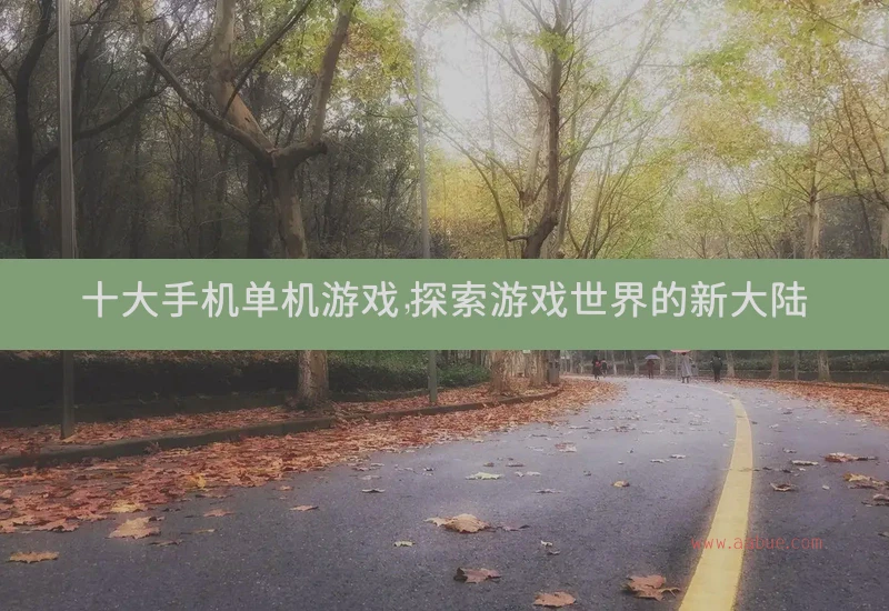 十大手机单机游戏，探索游戏世界的新大陆