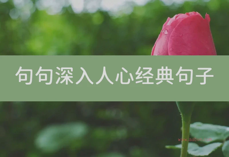 句句深入人心经典句子