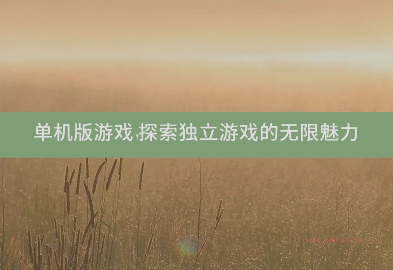 单机版游戏，探索独立游戏的无限魅力