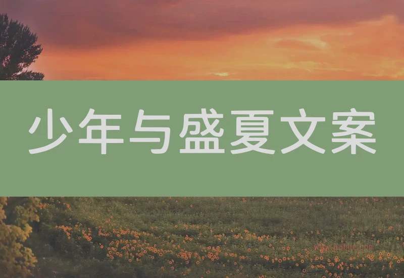 少年与盛夏文案