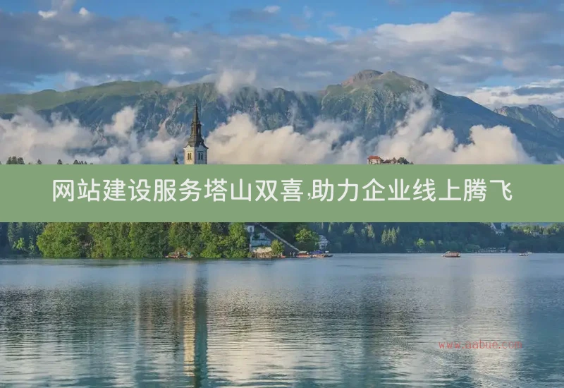 网站建设服务塔山双喜