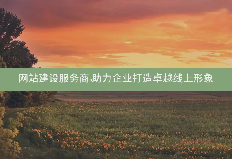助力企业打造卓越线上形象