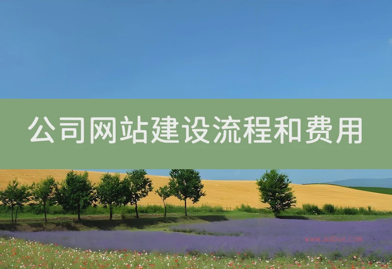 公司网站建设流程和费用