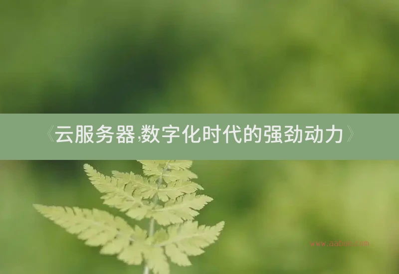 《云服务器，数字化时代的强劲动力》