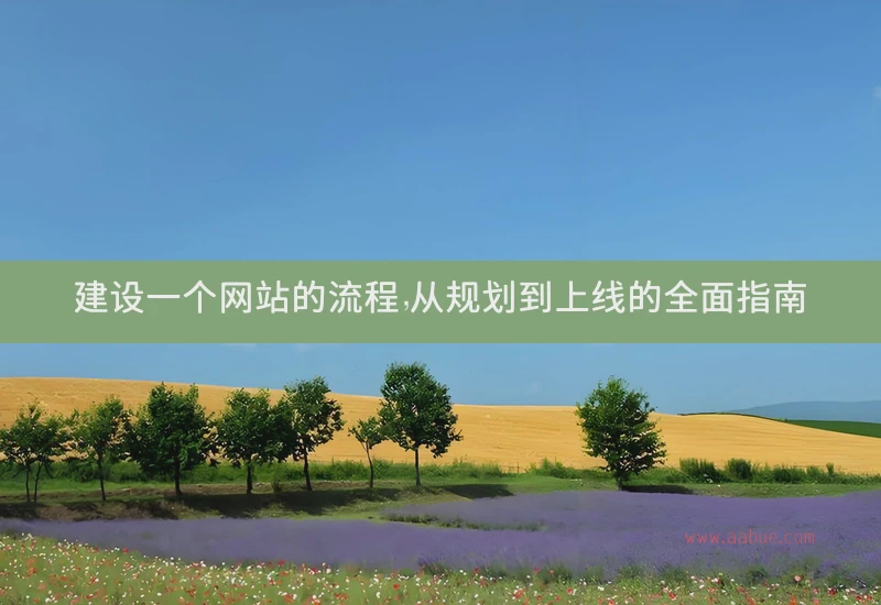 建设一个网站的流程
