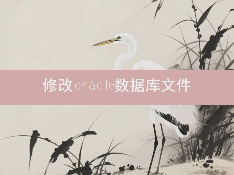 修改oracle数据库文件