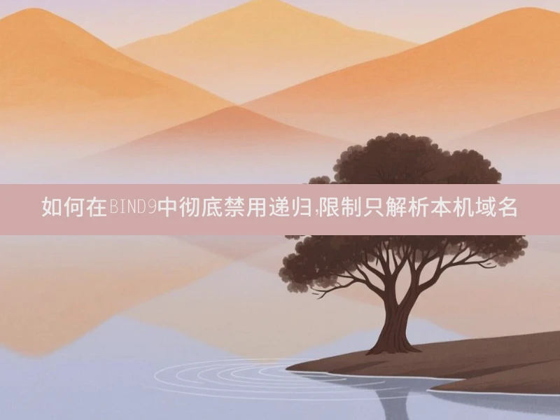 如何在BIND9中彻底禁用递归，限制只解析本机域名