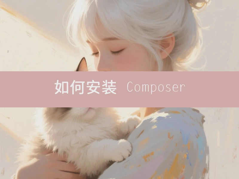如何安装 Composer