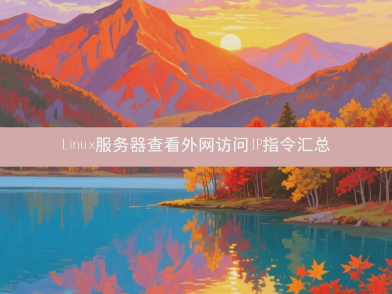 Linux服务器查看外网访问IP指令汇总