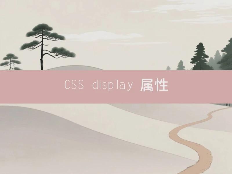 CSS display 属性