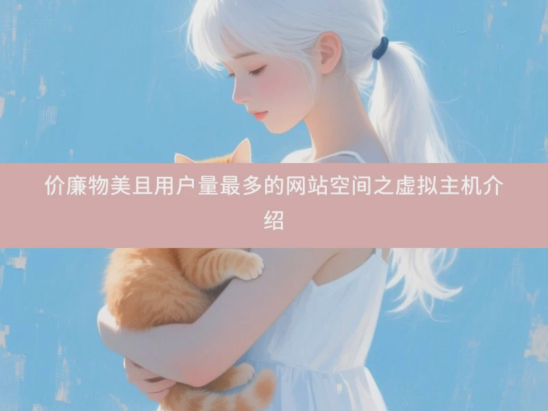价廉物美且用户量最多的网站空间之虚拟主机介绍
