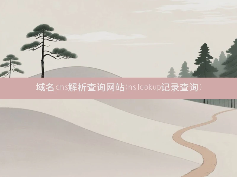 域名dns解析查询网站(nslookup记录查询)