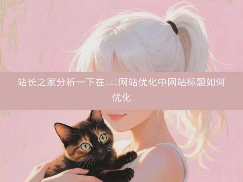站长之家分析一下在SEO网站优化中网站标题如何优化