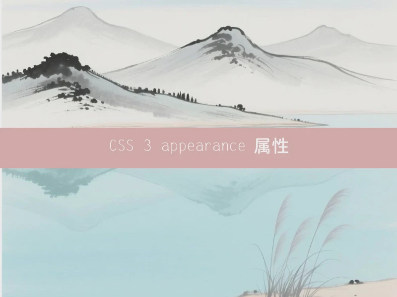CSS 3 appearance 属性