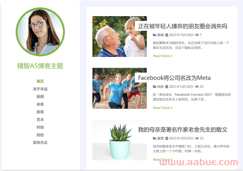 Wordpress简站A5博客主题免费下载