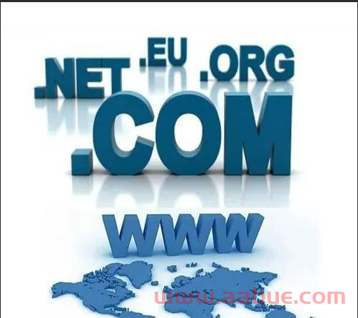 公司的中域名是什么